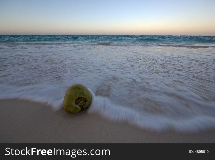 Coconut lying in the surf of the Caribbean sea. Coconut lying in the surf of the Caribbean sea