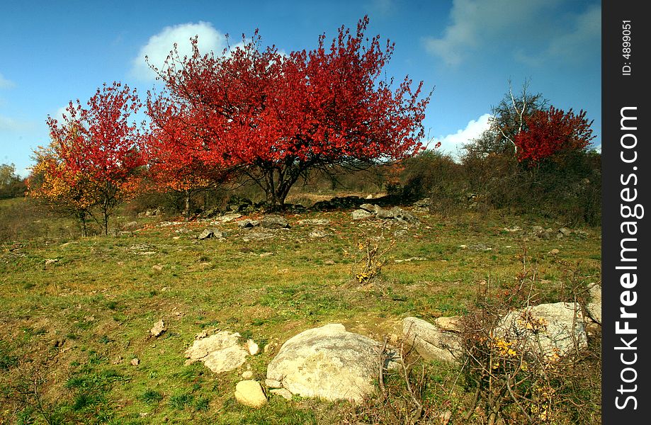 Autumn scenery in tree rote. Autumn scenery in tree rote