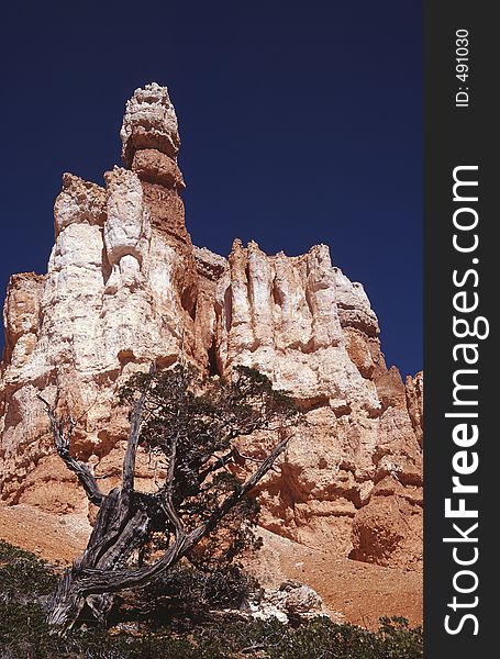 Hiking into the Bryce Canyon gives you amazing view to fragile rock formations.