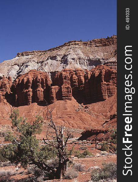 A highlight in southern Utah is the Capitol Reef National Park with his eroded rock formations. A highlight in southern Utah is the Capitol Reef National Park with his eroded rock formations