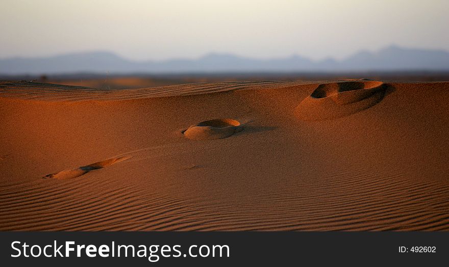Trace of step in the moroccan desert