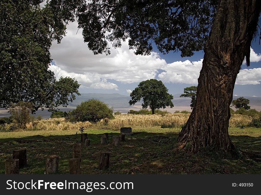 Africa landscape 014 ngorongoro lunch area