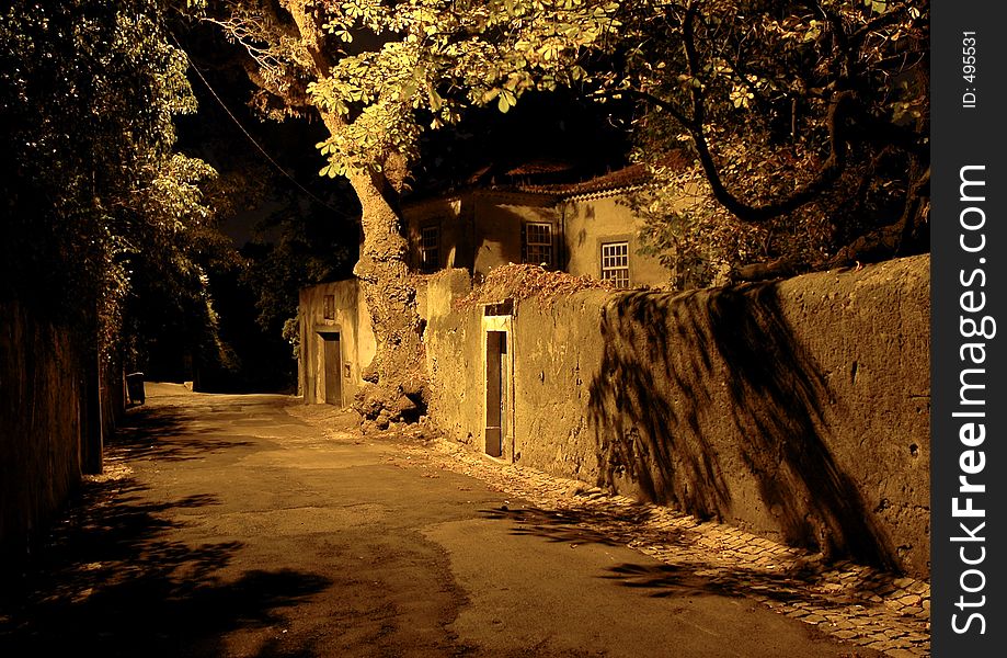 Portugal - Sintra / Nocturnal desert road near houses at the countryside. Portugal - Sintra / Nocturnal desert road near houses at the countryside