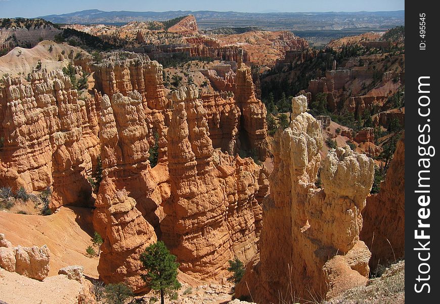 Hoodoos in Bryce Canyon, UT.