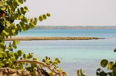 Tropical Cuban Beach Stock Images Tropical Cuban Beach Stock Images