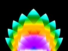 Floral Flower Royalty Free Stock Photo Floral Flower Royalty Free Stock Photo