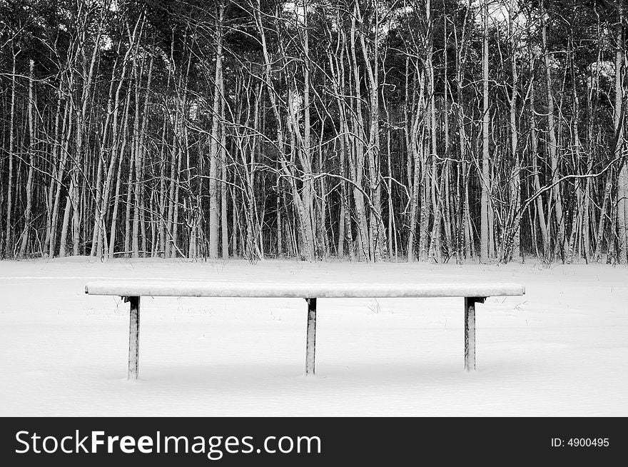 Lonely bench in winter, snowy trees in the background