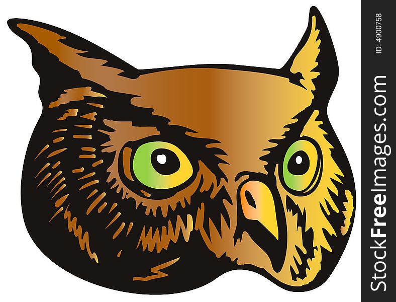 Great Horned Owl Head