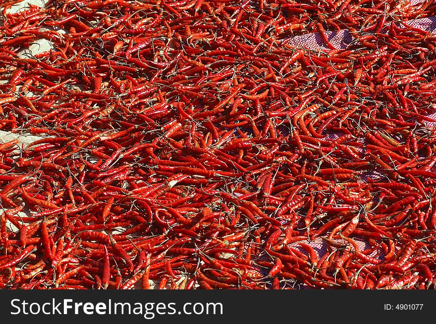 Myanmar, Kalaw: red pepper on the ground drying at the sun