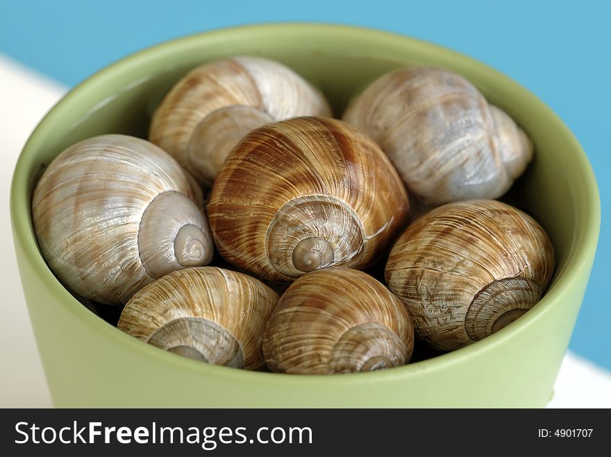 Snail shells in a cup