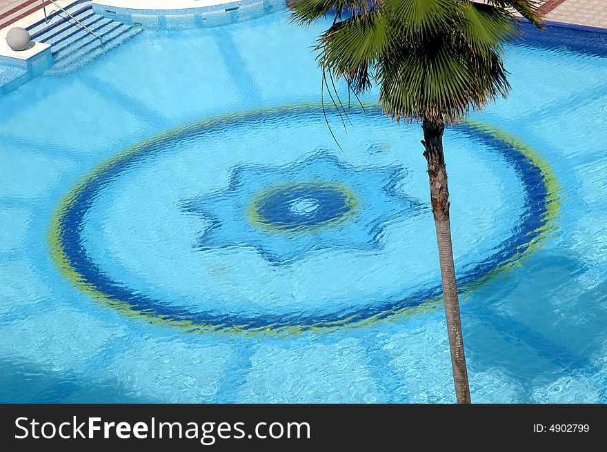 Amazing palace swimming pool  and a green palm