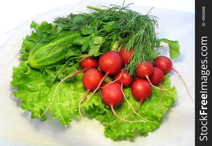 Fresh leaves of salad, cucumber, garden radish, parsley and the fennel prepared for salad. Fresh leaves of salad, cucumber, garden radish, parsley and the fennel prepared for salad.