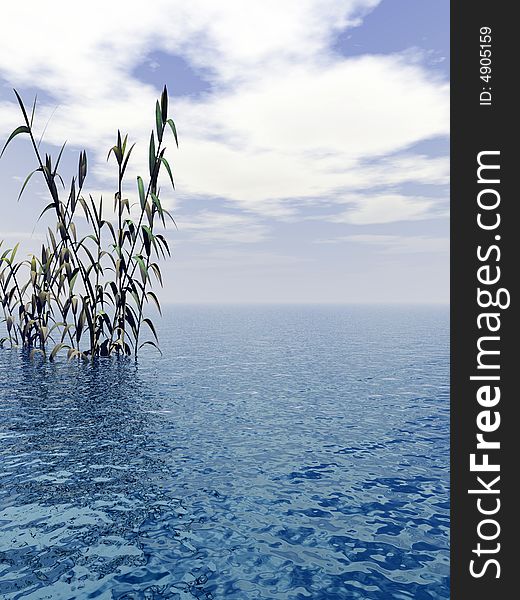 Water plants and blue sky - digital artwork.