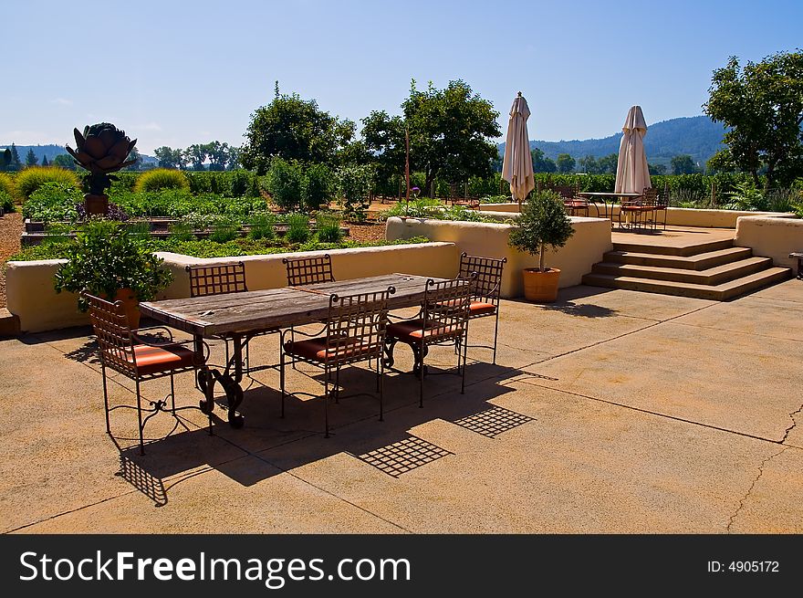 Vineyard in California