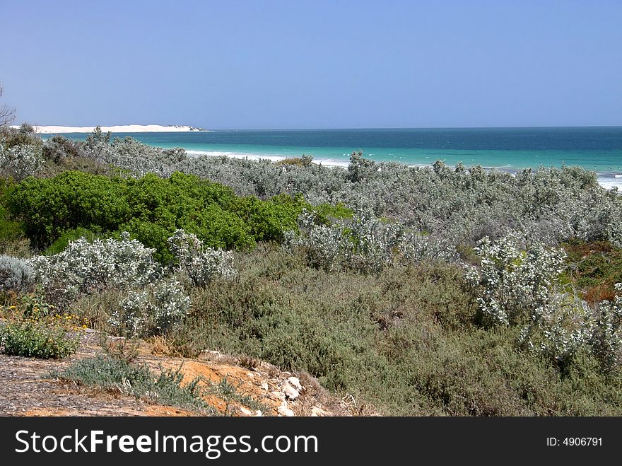 Wide angle shot of idyllic sandy beach with clear blue sky. Australia