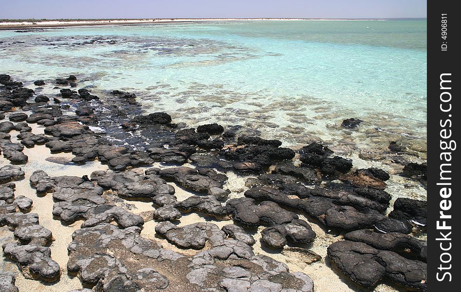 Wide angle shot of a beautiful beach with geological feature of black rocks. Australia