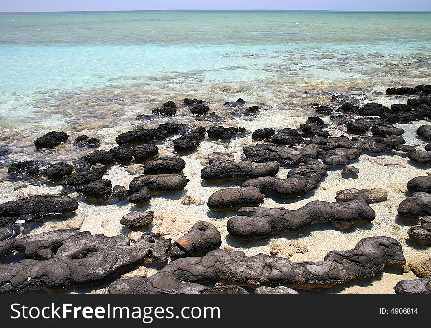 Wide angle shot of a beautiful beach with geological feature of black rocks. Australia. Wide angle shot of a beautiful beach with geological feature of black rocks. Australia