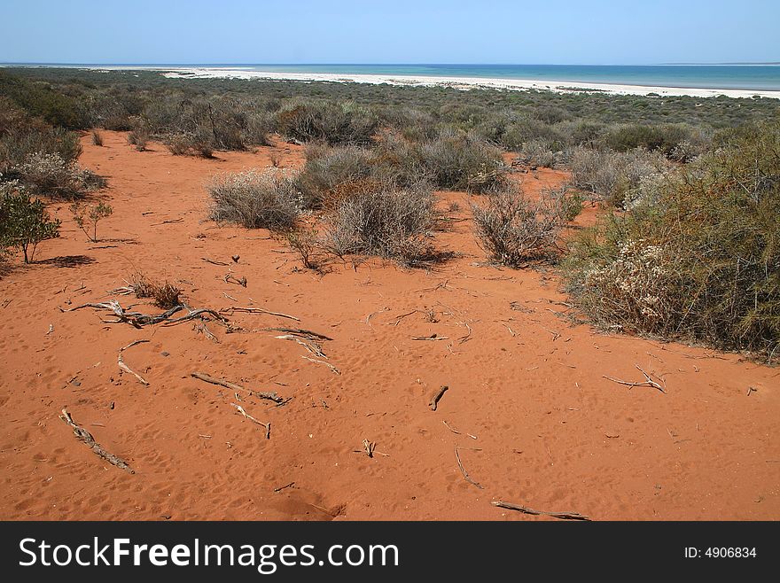 Shrubby Plants And Idyllic Beach