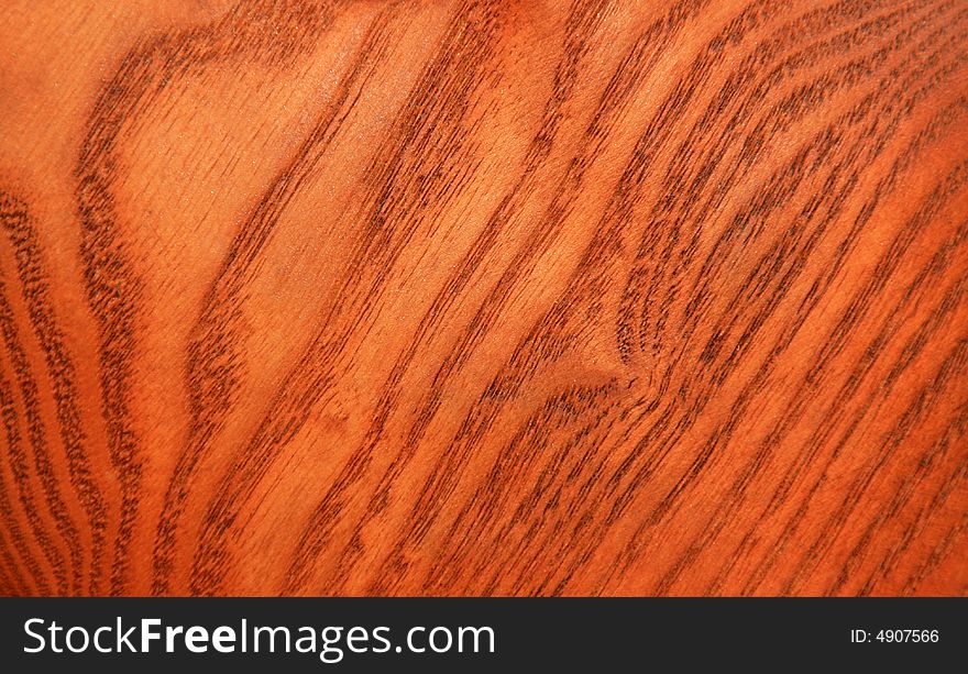 Cut of a trunk of the pear, processed by a varnish for a tree. Cut of a trunk of the pear, processed by a varnish for a tree