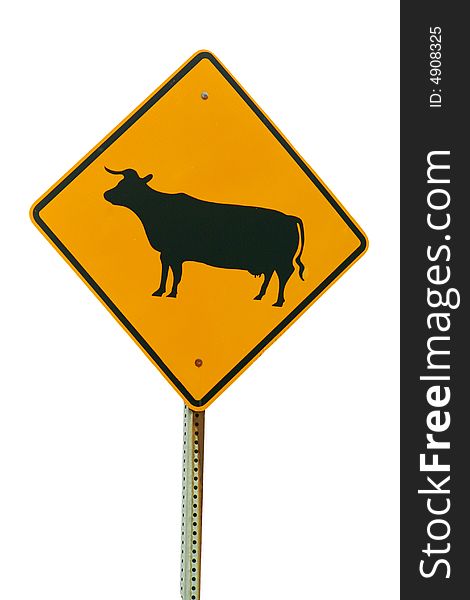 A Isolated cattle crossing sign on white background