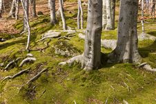 Landscapes In Karkonosze Mountains, Poland Stock Photos Landscapes In Karkonosze Mountains, Poland Stock Photos