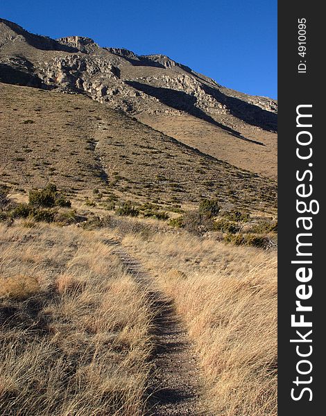 Smith Spring Loop Trail - Guadalupe Mountains National Park