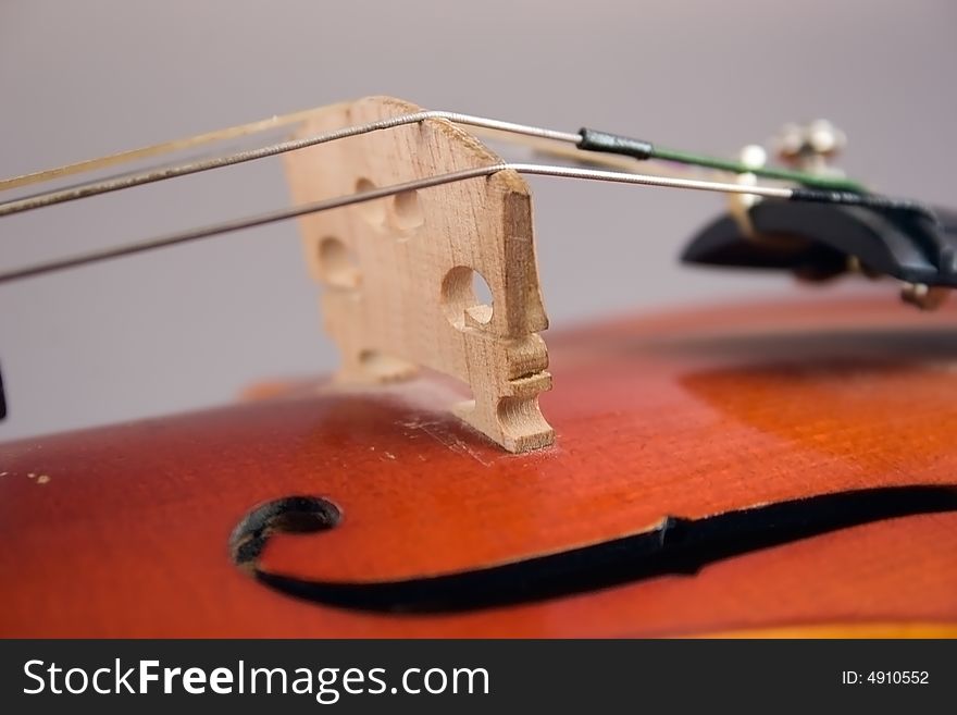 Close-up of a violin