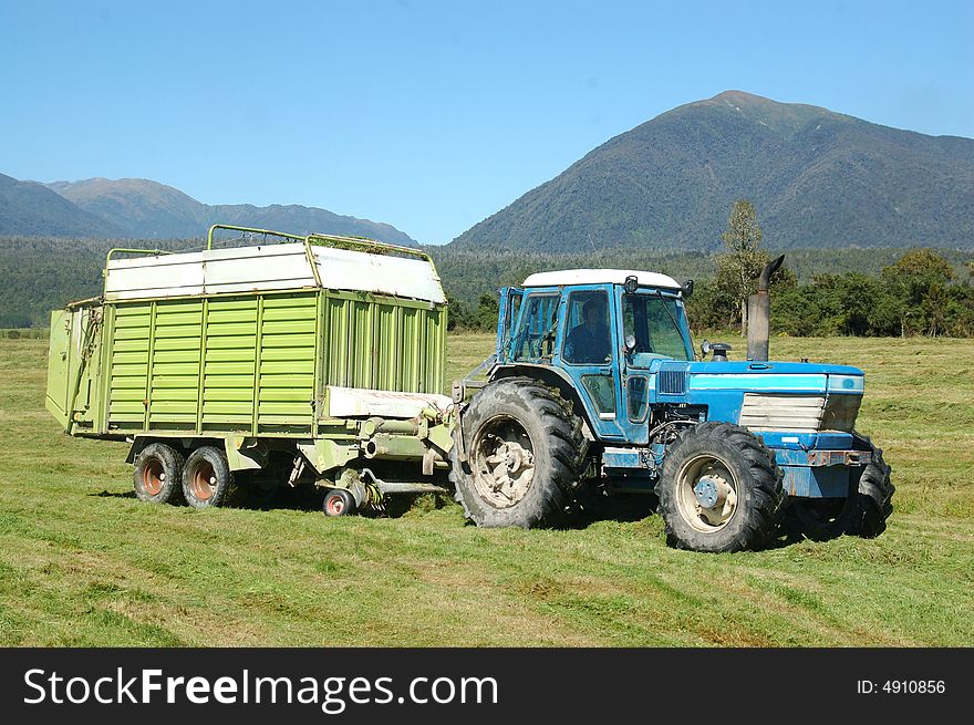 Tractor picking up mown pasture in silage wagon, West Coast, South Island, New Zealand. Tractor picking up mown pasture in silage wagon, West Coast, South Island, New Zealand