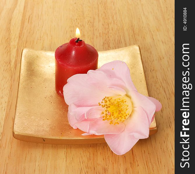 Burning red candle and Camellia flower on gold plate