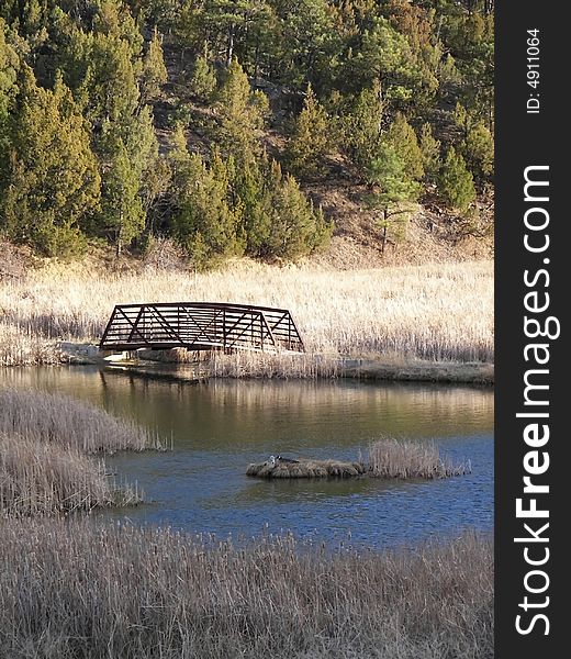 A wood and metal bridge over a river with a goose nest in the middle of it.