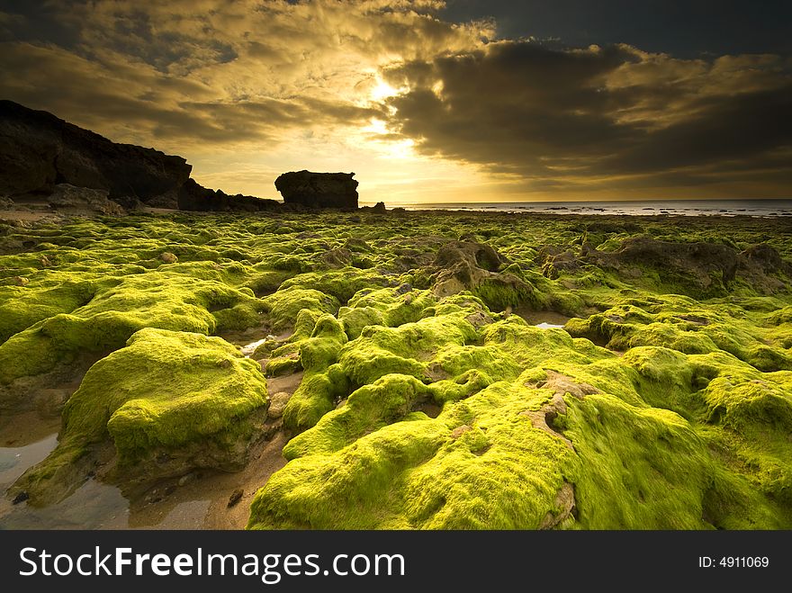 Low tide in southern portugal