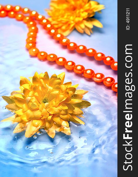 Yellow flower with orange necklace in water. Yellow flower with orange necklace in water