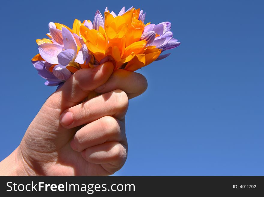 Hand with bouquet on clear blue sky background