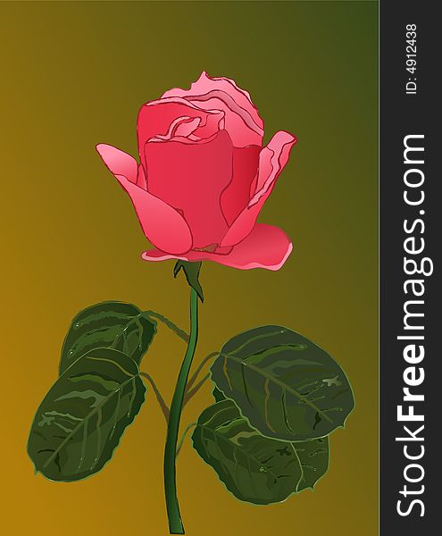Red rose vector - close up.