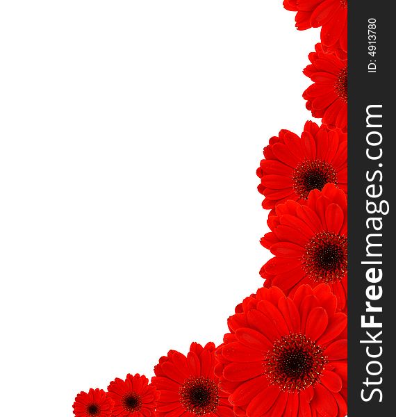 Background formed by several red gerbera flowers. Background formed by several red gerbera flowers