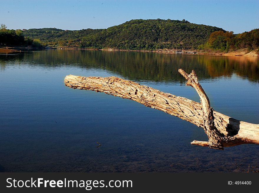 A dried tree in the middle of a lake.  Too much water is not a good thing. A dried tree in the middle of a lake.  Too much water is not a good thing