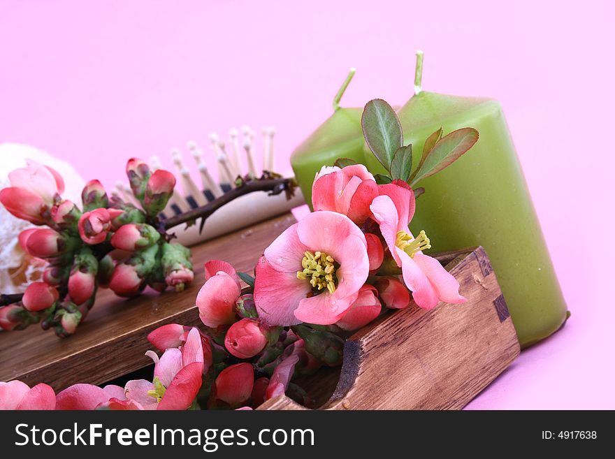 Aromatherapy decorating  natural Spring spa