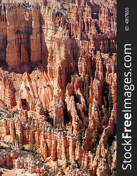 Hoodoos in Bryce Canyon, Utah. Hoodoos in Bryce Canyon, Utah