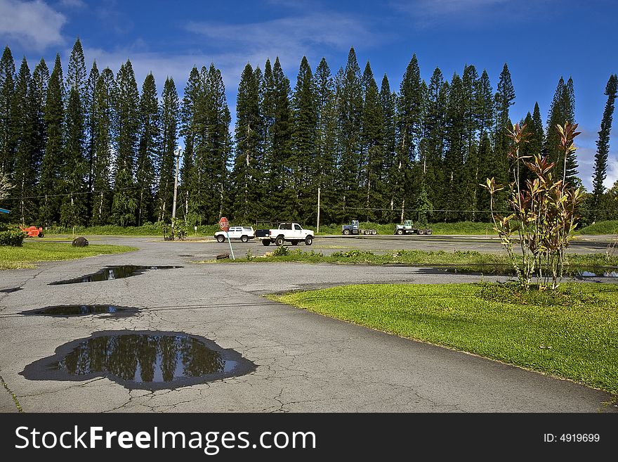 I stayed in Big Island for only one day. Besides the Volcanoes, the blue sky and the plants there interested me very much.