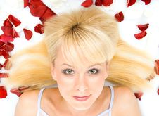 Young Woman And Rose Petals Stock Images Young Woman And Rose Petals Stock Images