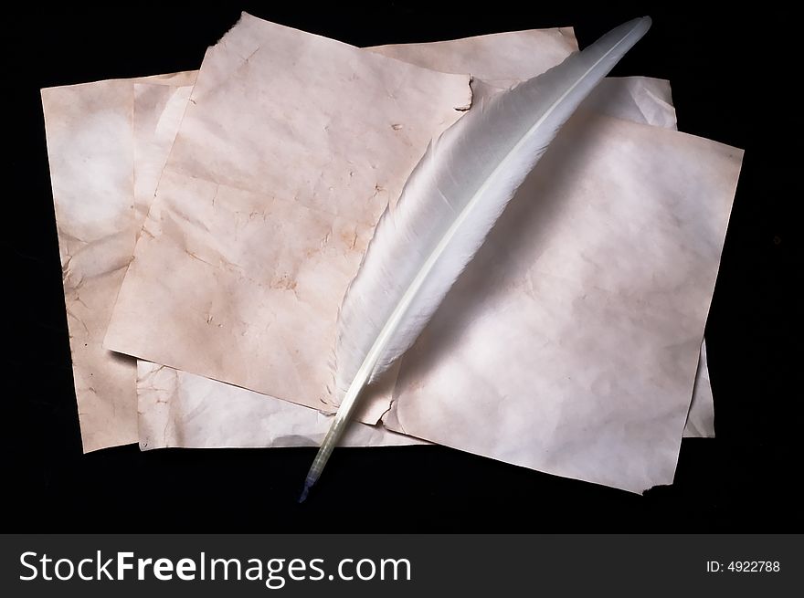 White quill on the paper