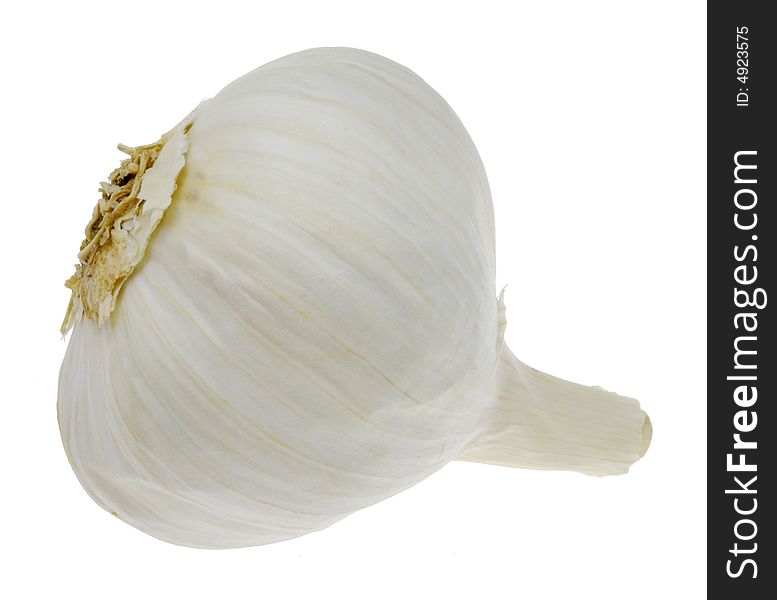 Garlic Bulb