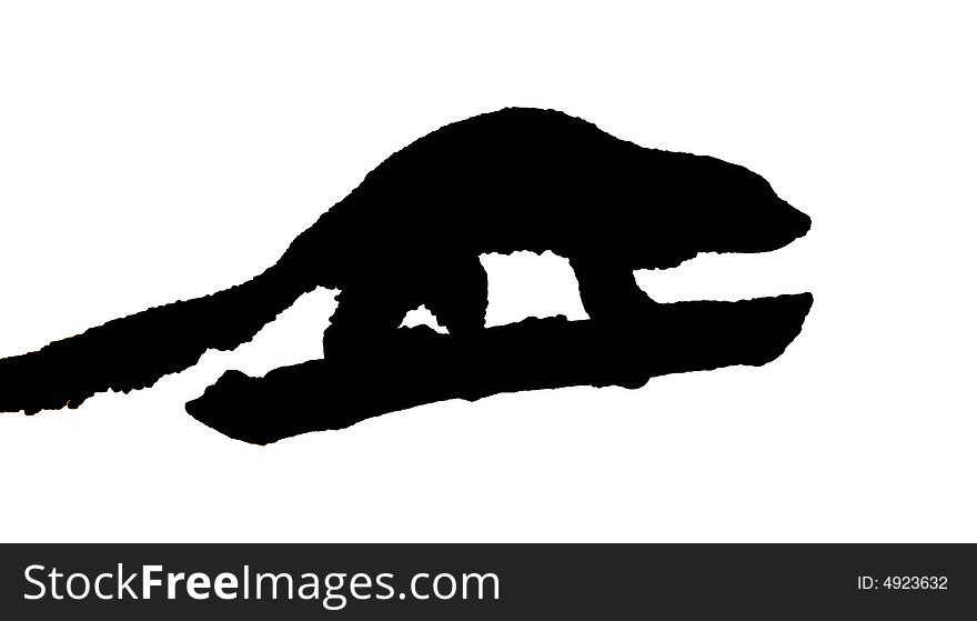 Mouse Lemur Isolated Silhouette