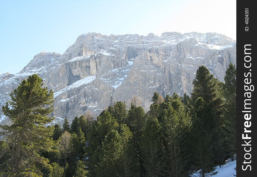 A view of the Sella Group and a wood