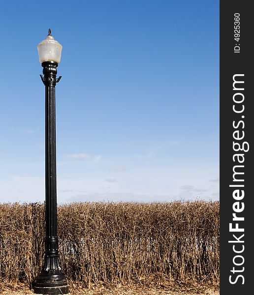 Street lamp and bush against a blue sky. Street lamp and bush against a blue sky