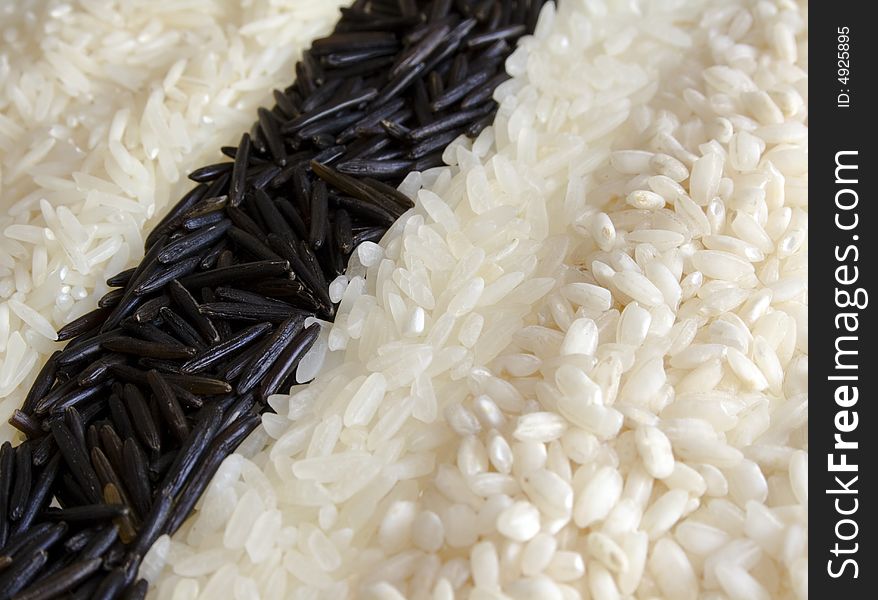 Four different types of rice (from right to left: Basmati, wild rice, Carolina Gold, Arborio) background. Focus is all along the middle of the image. Four different types of rice (from right to left: Basmati, wild rice, Carolina Gold, Arborio) background. Focus is all along the middle of the image.