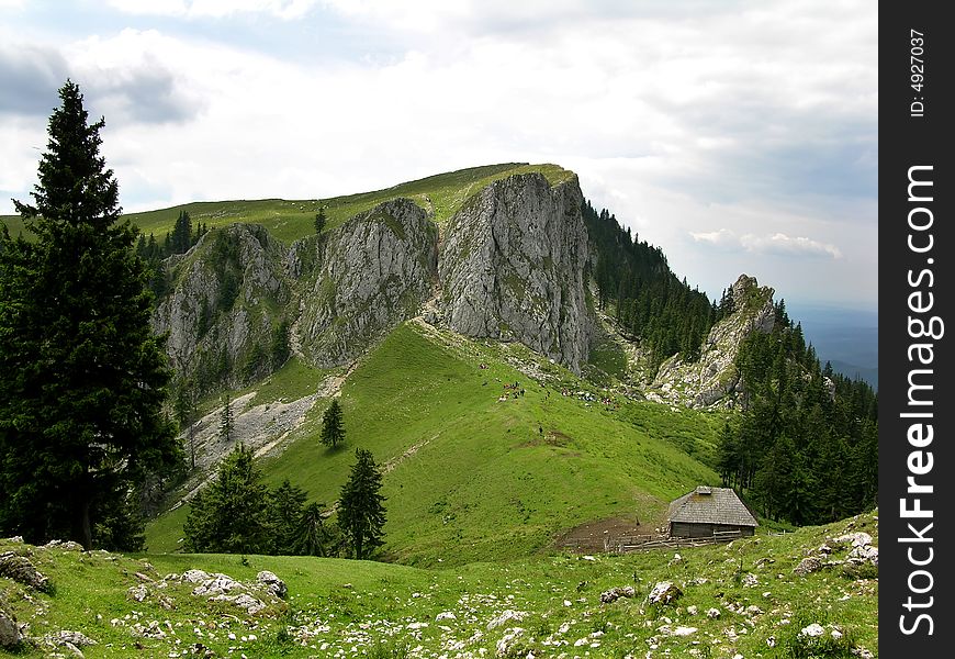 Cottage in Carpathian mountains