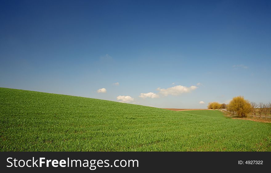 An image of a green meadow and blue sky. An image of a green meadow and blue sky