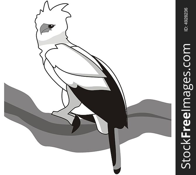 Art illustration of a harpy eagle