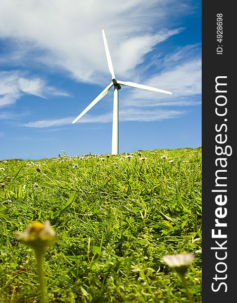 Windmill over a idyllic field of daisies. Windmill over a idyllic field of daisies